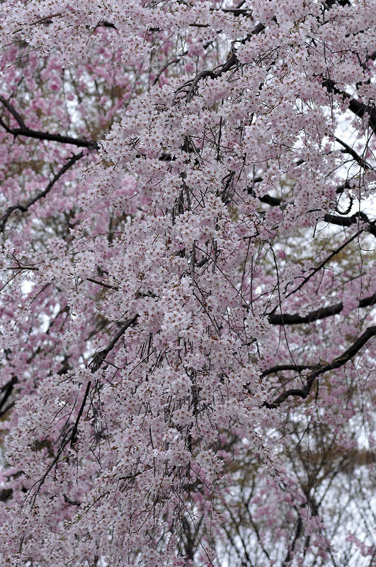 image0307