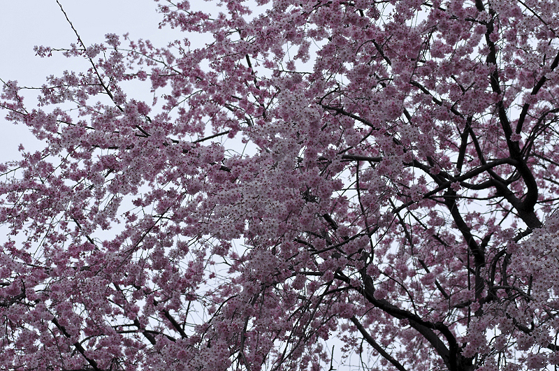 image0309