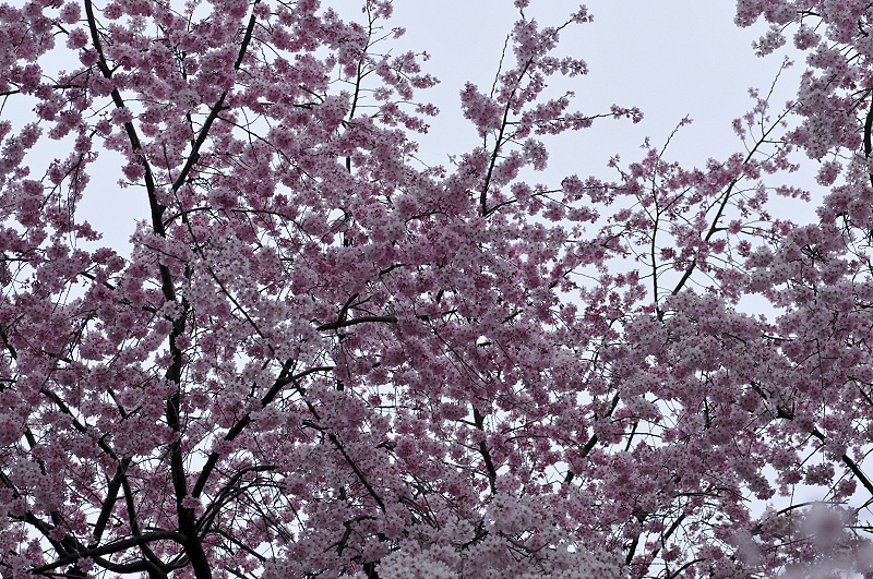 image0310