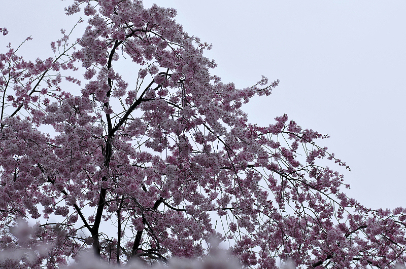 image0311
