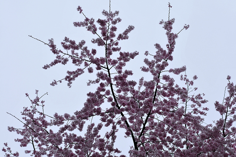 image0312