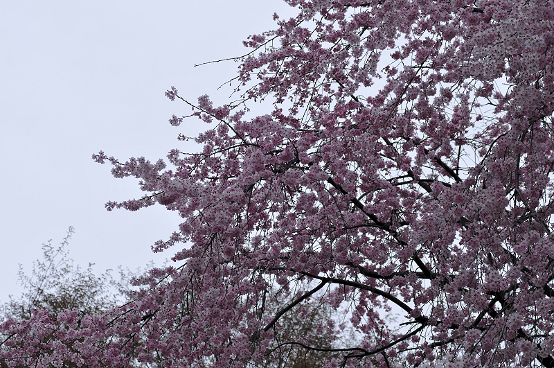 image0313