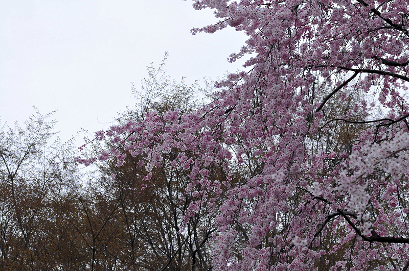 image0314