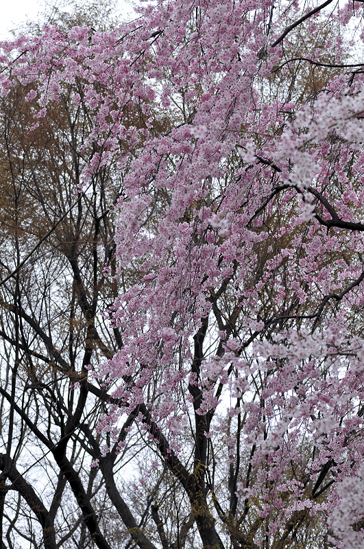 image0315