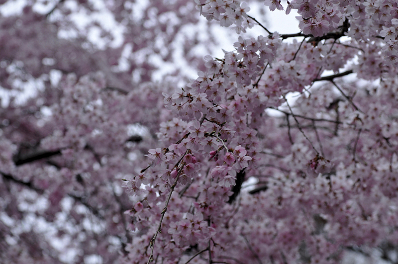 image0320