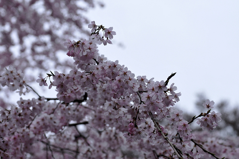 image0321