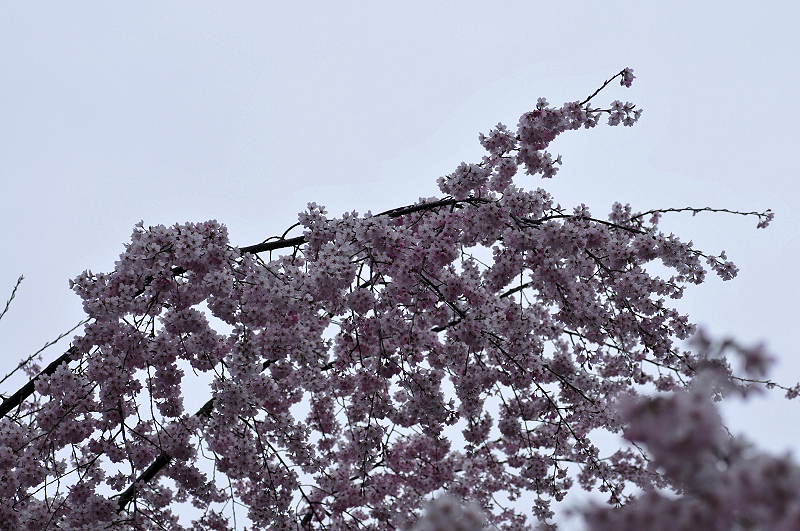 image0322