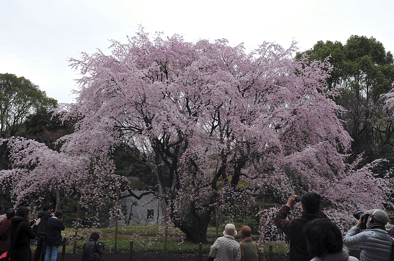 image0326
