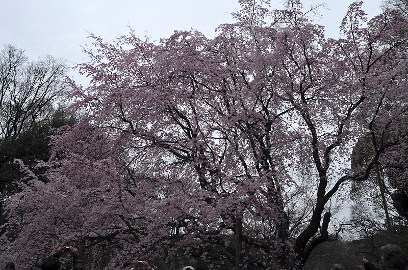 image0329