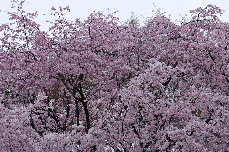 image0340