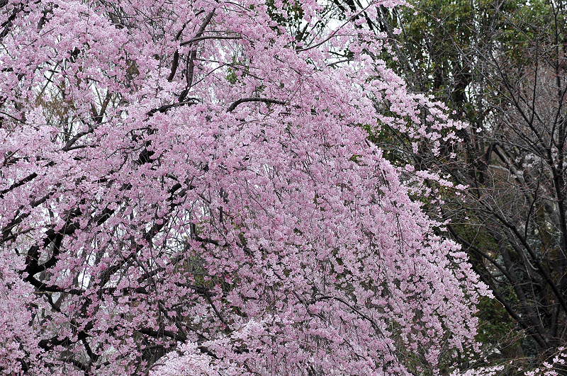 image0341