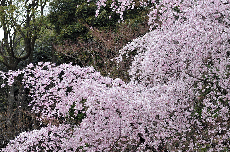 image0342