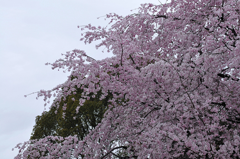 image0343