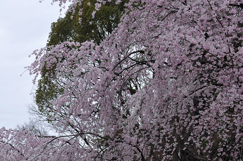 image0344