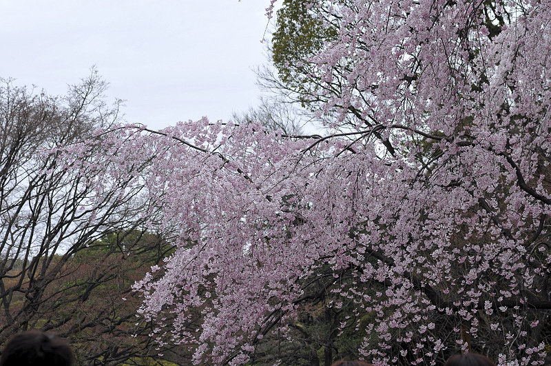 image0345