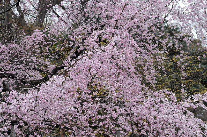 image0346