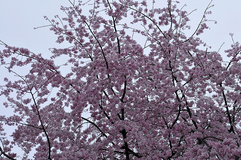 image0348