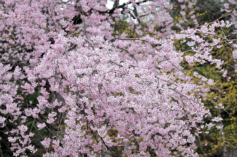 image0351