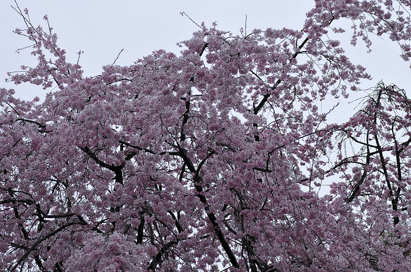 image0352