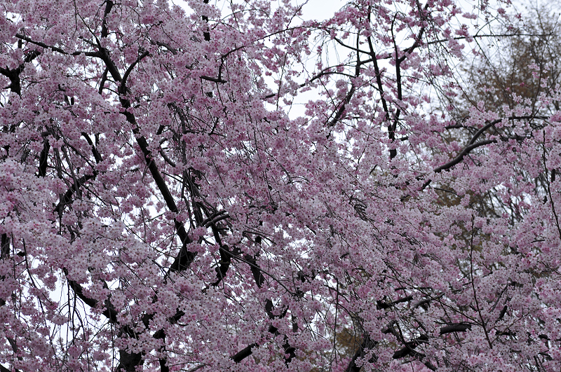 image0353
