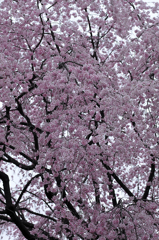 image0354