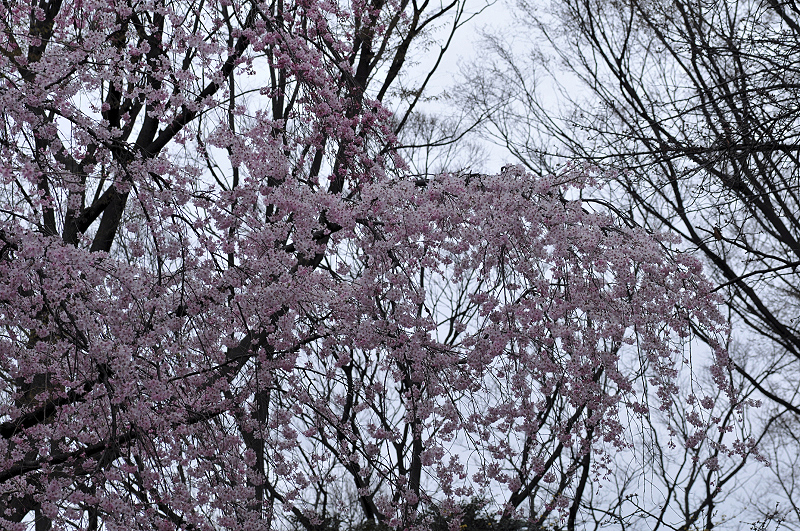 image0355