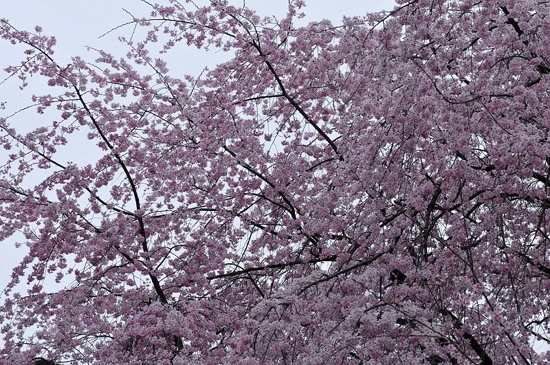 image0356