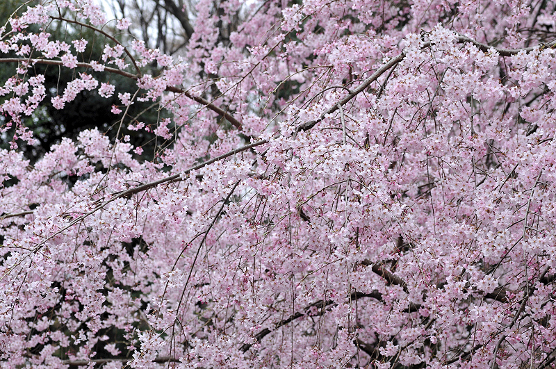 image0357