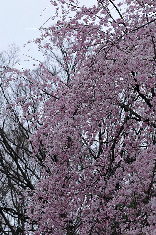 image0358