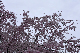 image0160