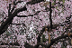 image0164