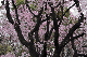 image0165