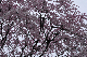 image0166