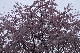 image0167