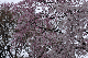 image0168