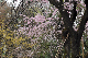 image0169