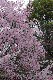 image0170