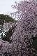 image0171