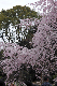 image0172