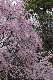 image0173