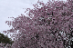 image0174