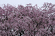 image0175