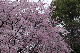 image0176