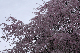 image0177