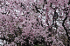 image0178