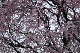 image0180