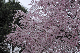 image0183