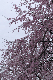 image0184