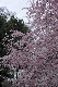 image0185