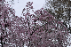 image0187